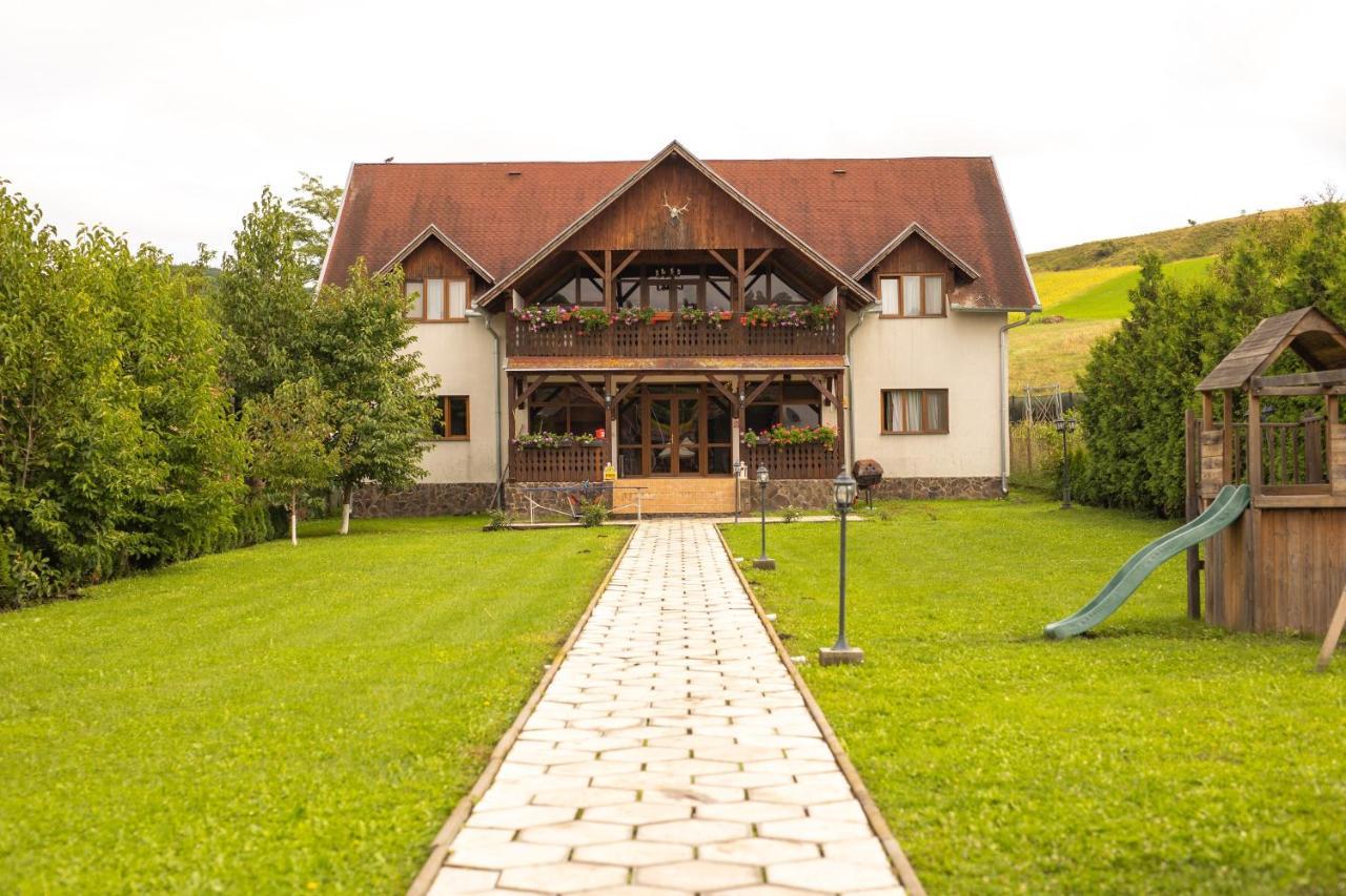 Pensiunea Sachsenhof Bagaciu المظهر الخارجي الصورة